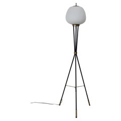 Italienische Stilnovo-Stehlampe aus Metallglas, Mid-Century Modern Design, 1950er Jahre