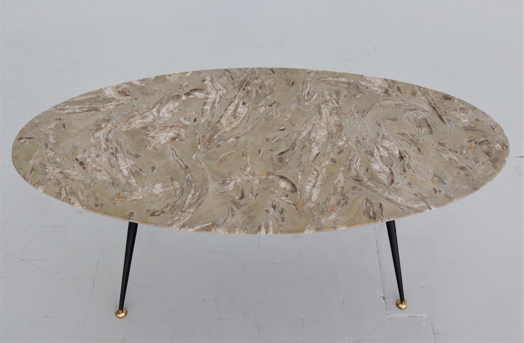 Italian Midcentury Oval Coffee Table with Marble Top and Brass Tips, 1950s 5