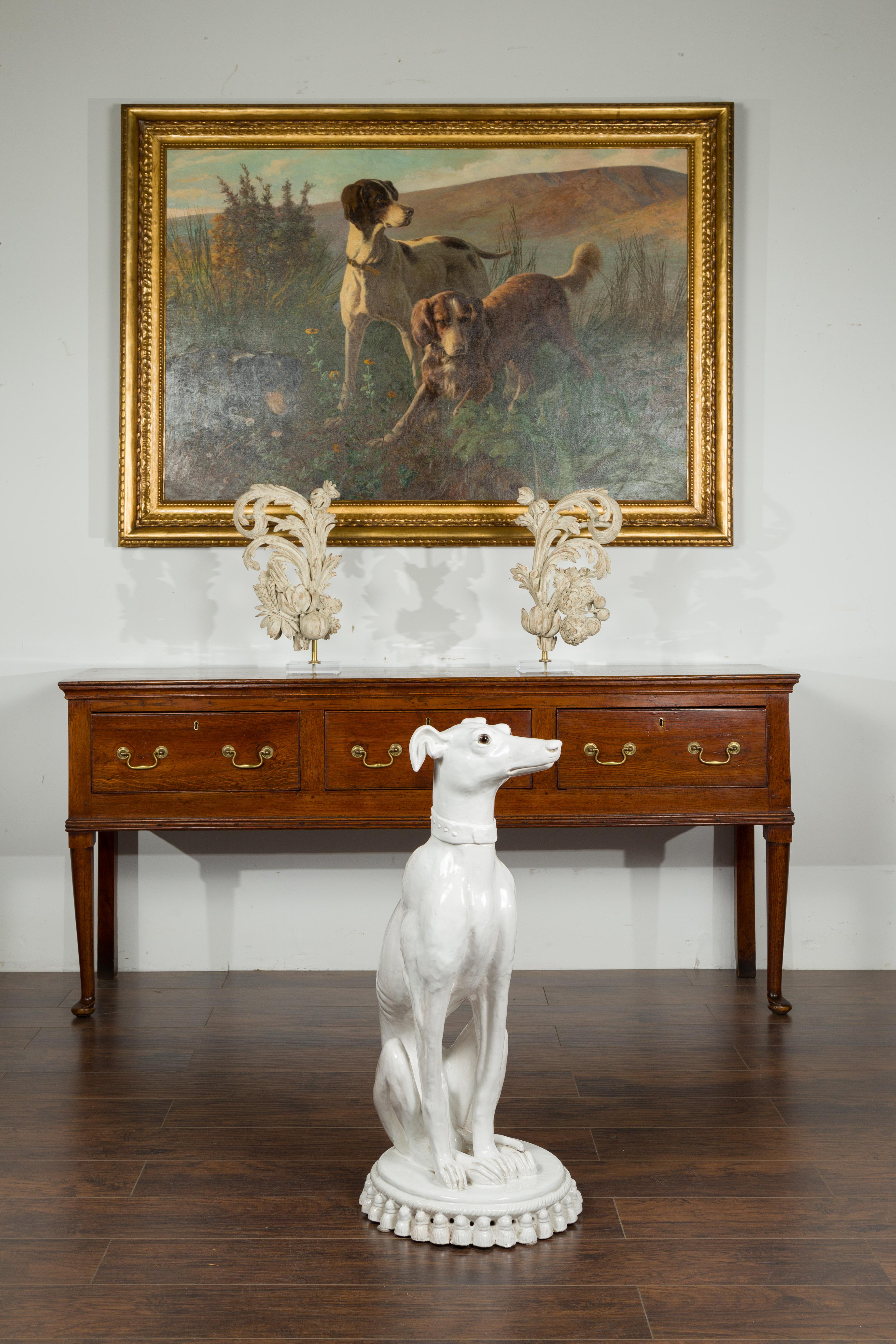 greyhound sitting down