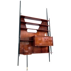 Italian Mid-Century Wall Unit or Bookcase by Vittorio Dassi, 1950s