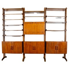 Italian Midcentury Teak Wall Unit or Shelf System by Vittorio Dassi