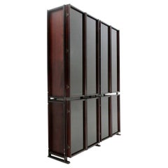 Italian Midcentury Wall Unit by Gianni Songia for Sormani, 1960s