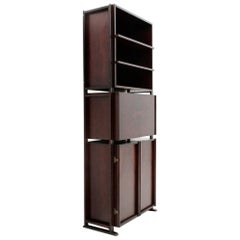 Italian Midcentury Wall Unit by Gianni Songia for Sormani, 1960s