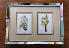 Italian Mirror Frame with English Chromolithographic Floral Prints - 01