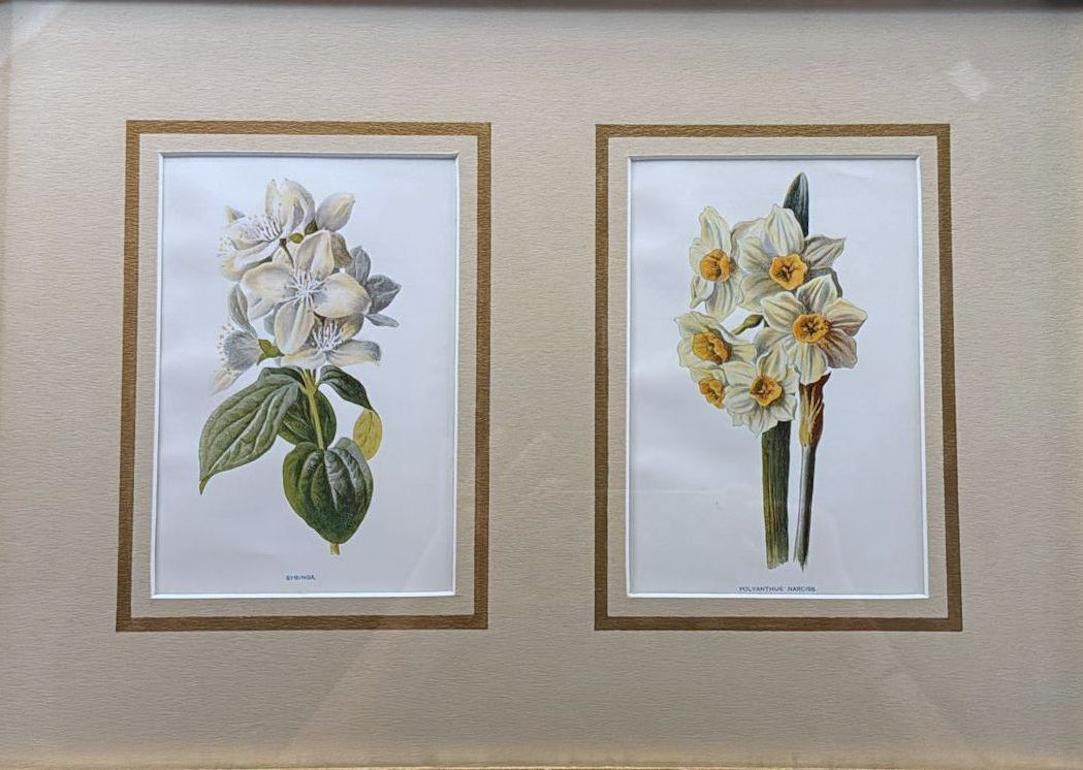Marco de espejo italiano con estampados florales cromolitográficos ingleses - 01 Victoriano tardío en venta