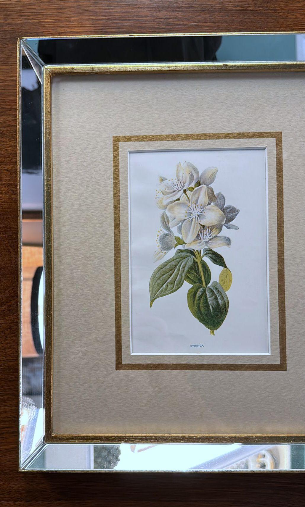 Marco de espejo italiano con estampados florales cromolitográficos ingleses - 01 Británico en venta