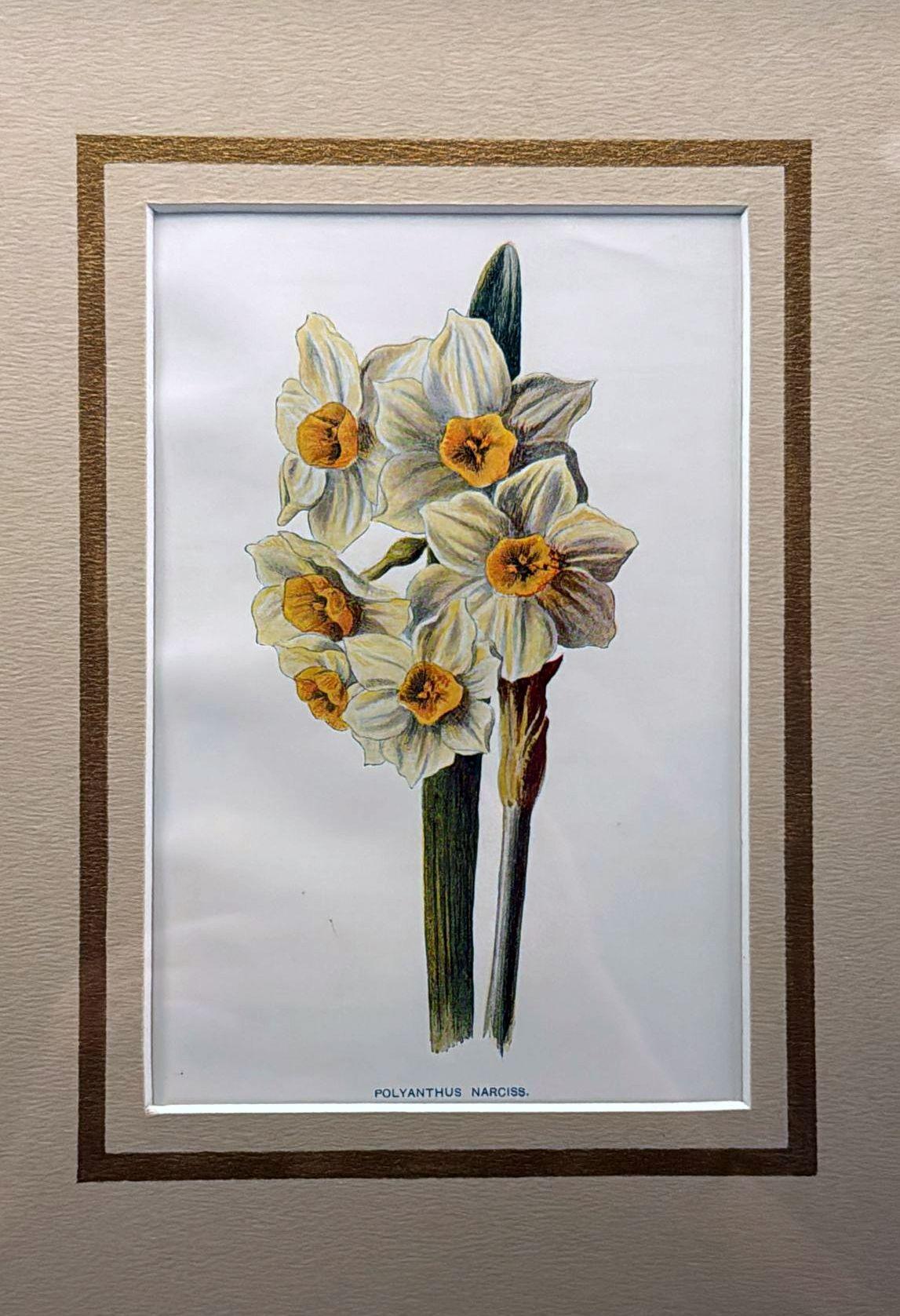 Marco de espejo italiano con estampados florales cromolitográficos ingleses - 01 Espejo en venta