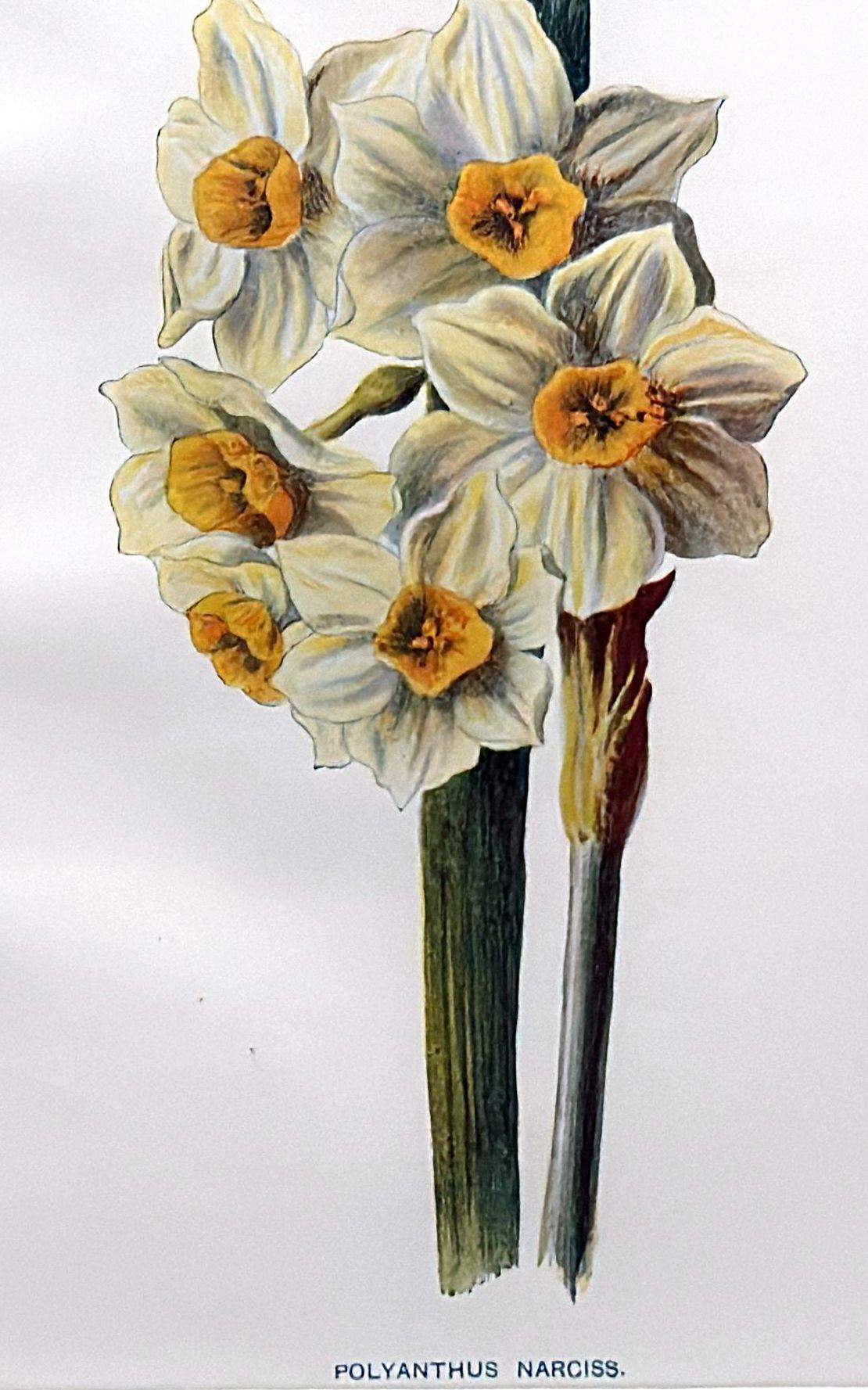 Marco de espejo italiano con estampados florales cromolitográficos ingleses - 01 en venta 1