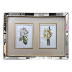 Cadre de miroir italien avec impressions florales chrmolithologiques anglaises - 01