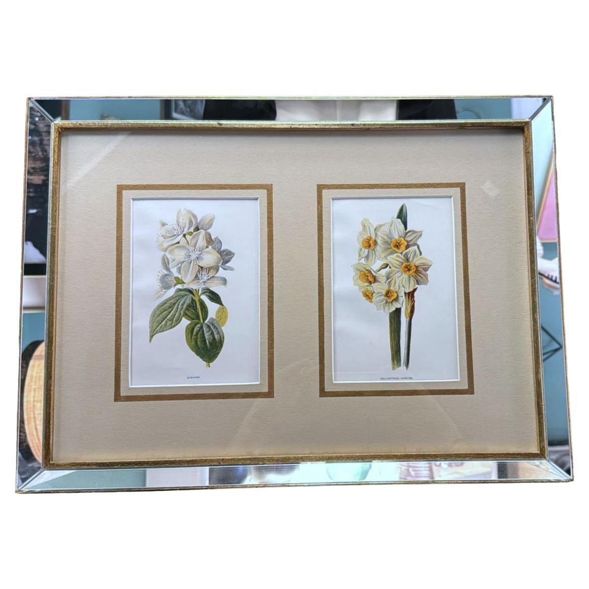 Italian Mirror Frame with English Chromolithographic Floral Prints - 01