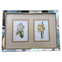 Italian Mirror Frame with English Chromolithographic Floral Prints - 01