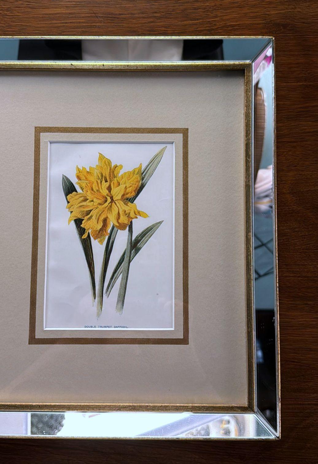 Hand-Crafted Italian Mirror Frame with English Chromolithographic Floral Prints – 02 For Sale