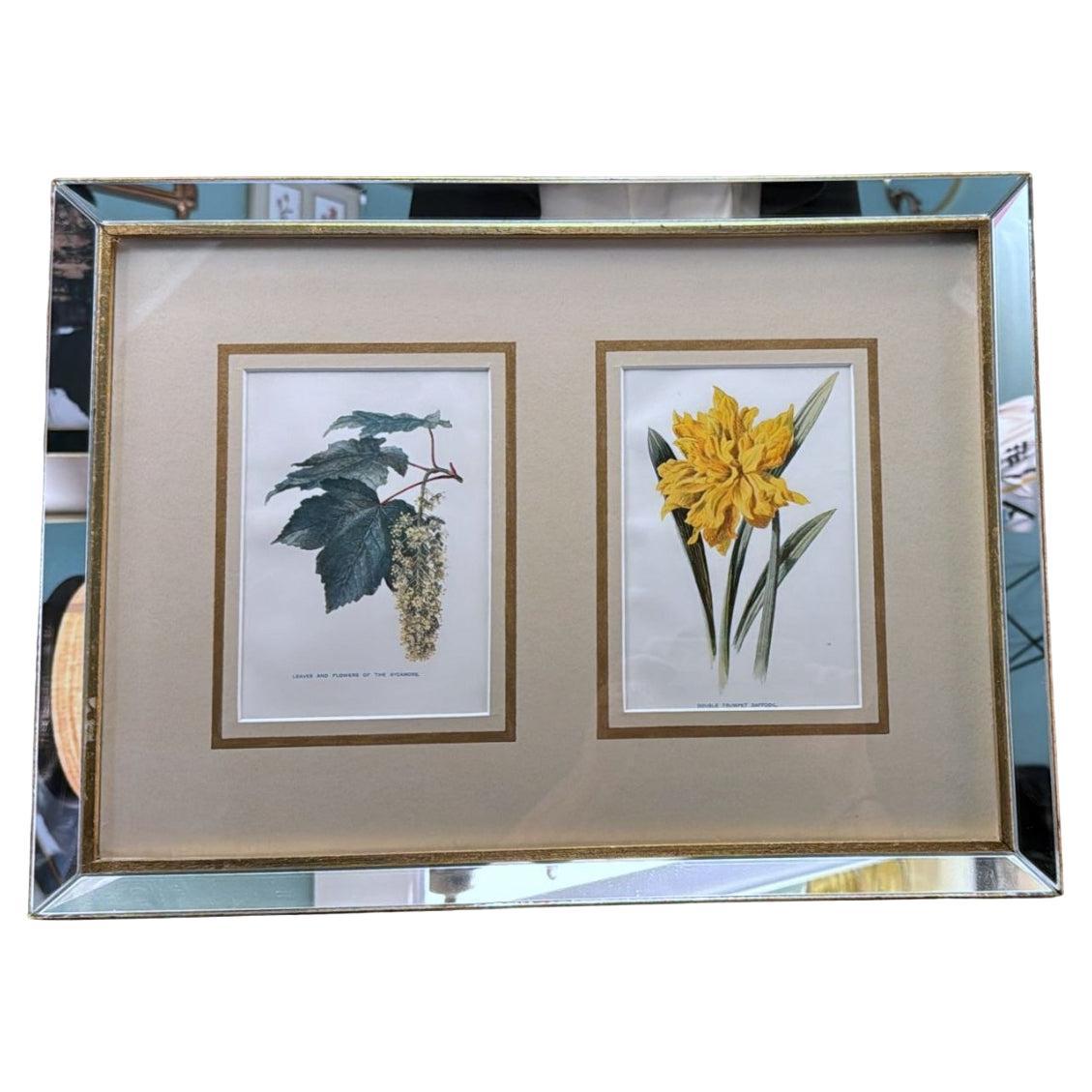 Italian Mirror Frame with English Chromolithographic Floral Prints – 02