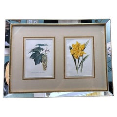 Italian Mirror Frame with English Chromolithographic Floral Prints – 02