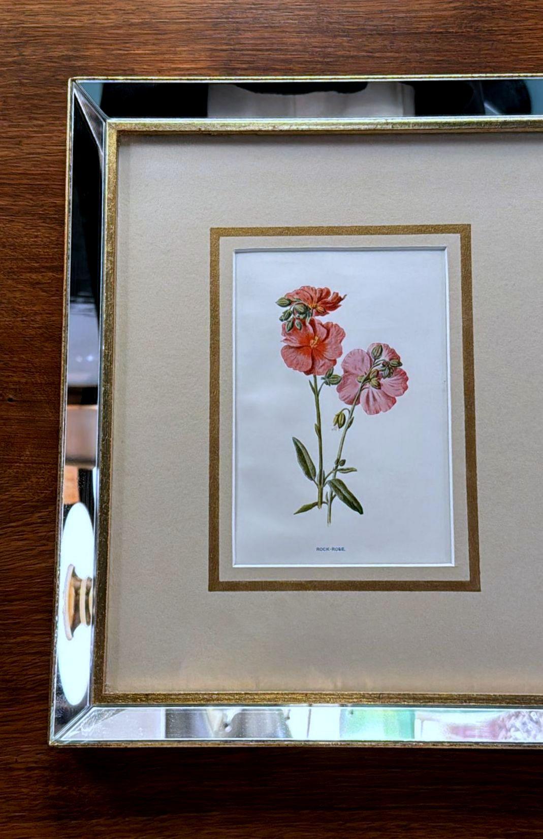 Marco de espejo italiano con estampados florales cromolitográficos ingleses - 03 Británico en venta