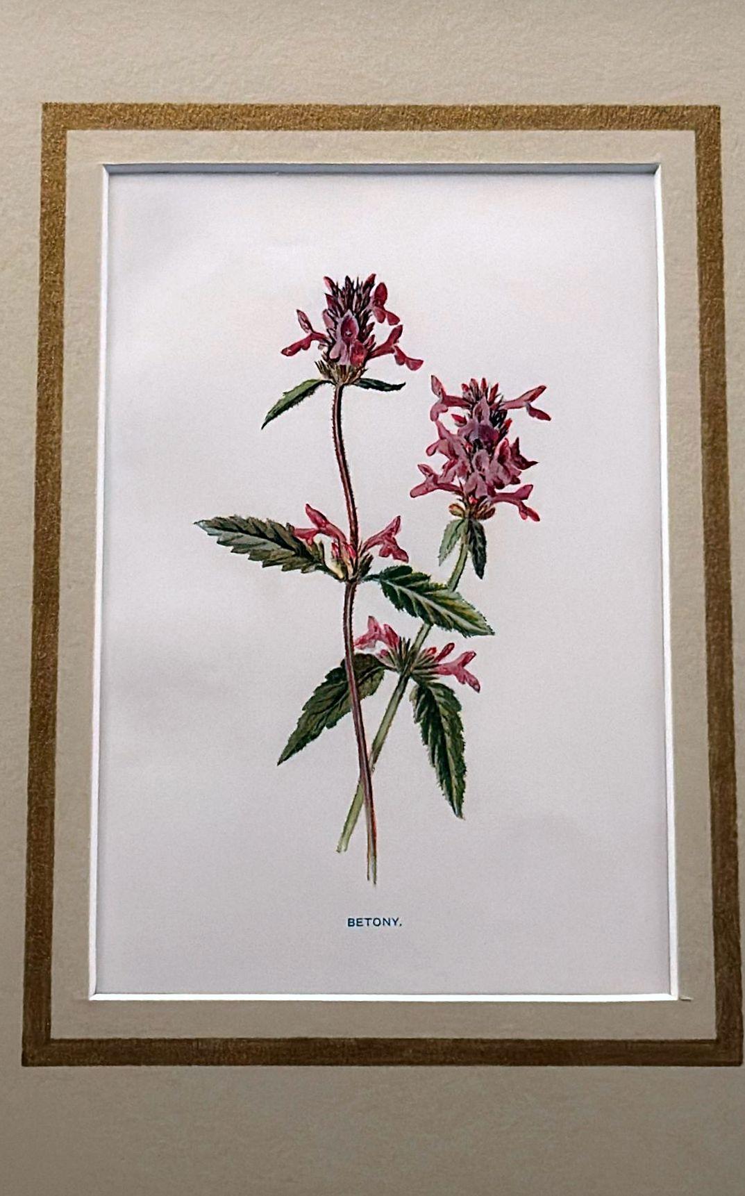Marco de espejo italiano con estampados florales cromolitográficos ingleses - 03 Espejo en venta