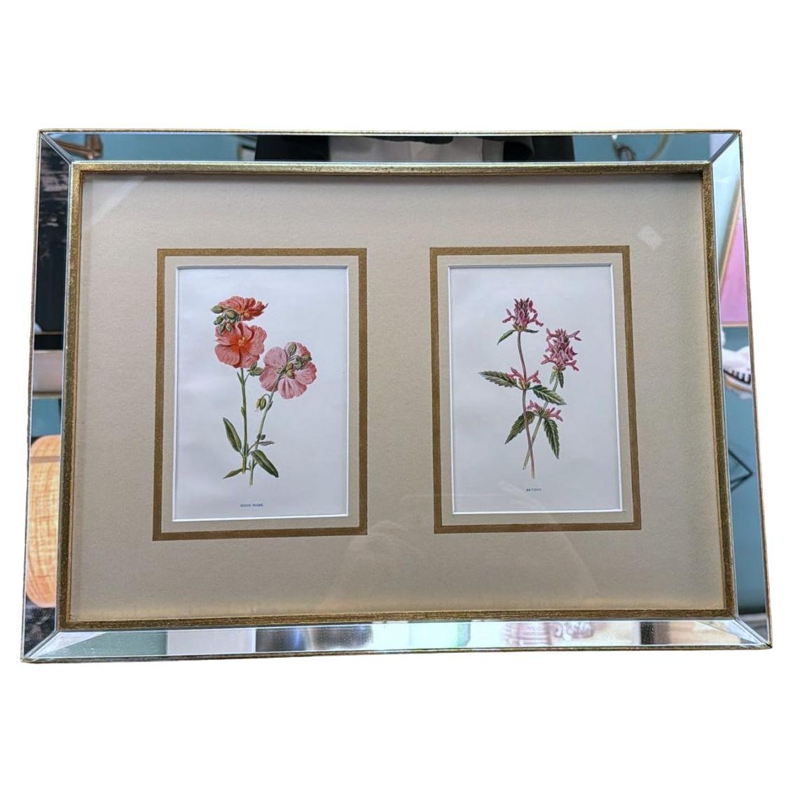 Italian Mirror Frame with English Chromolithographic Floral Prints - 03