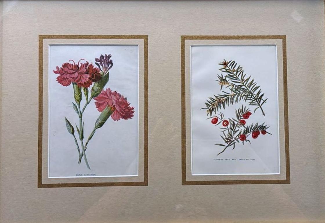 Victorien tardif Cadre de miroir italien avec impressions florales chrmolithologiques anglaises - 04 en vente