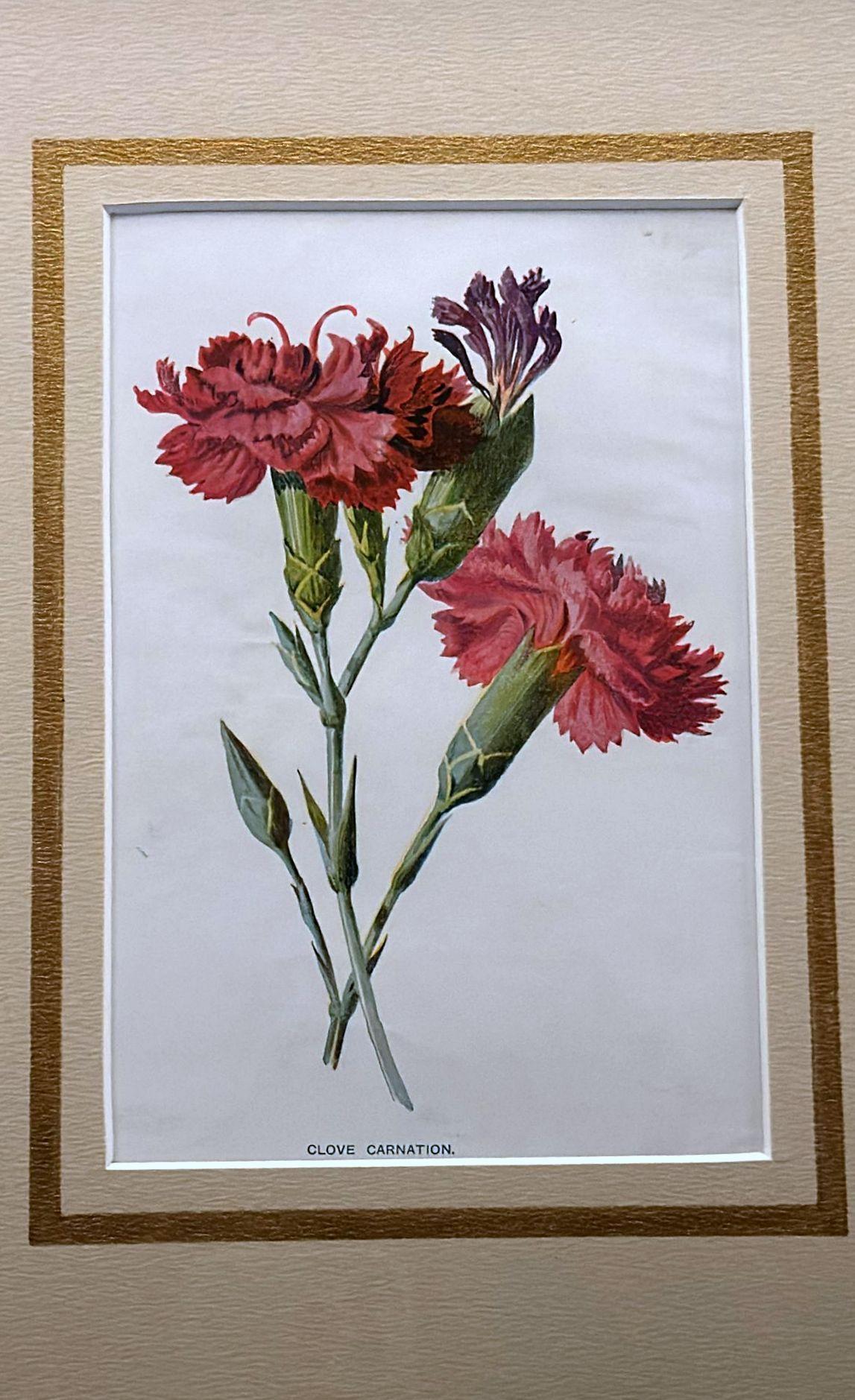 Cadre de miroir italien avec impressions florales chrmolithologiques anglaises - 04 Bon état - En vente à Prato, Tuscany