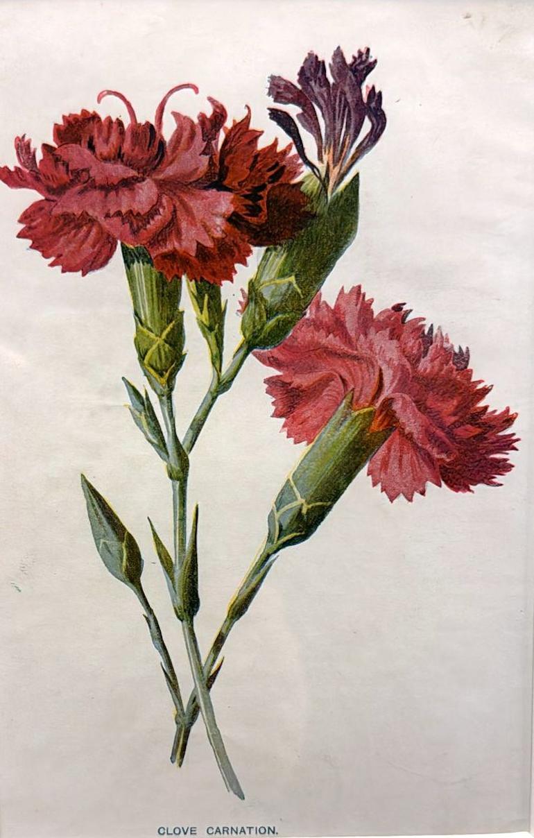20ième siècle Cadre de miroir italien avec impressions florales chrmolithologiques anglaises - 04 en vente