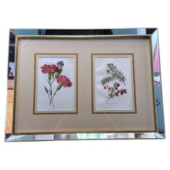 Italian Mirror Frame with English Chromolithographic Floral Prints - 04