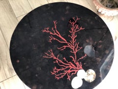 Italian Model Coral Coffee Table from Laudarte, 1990s