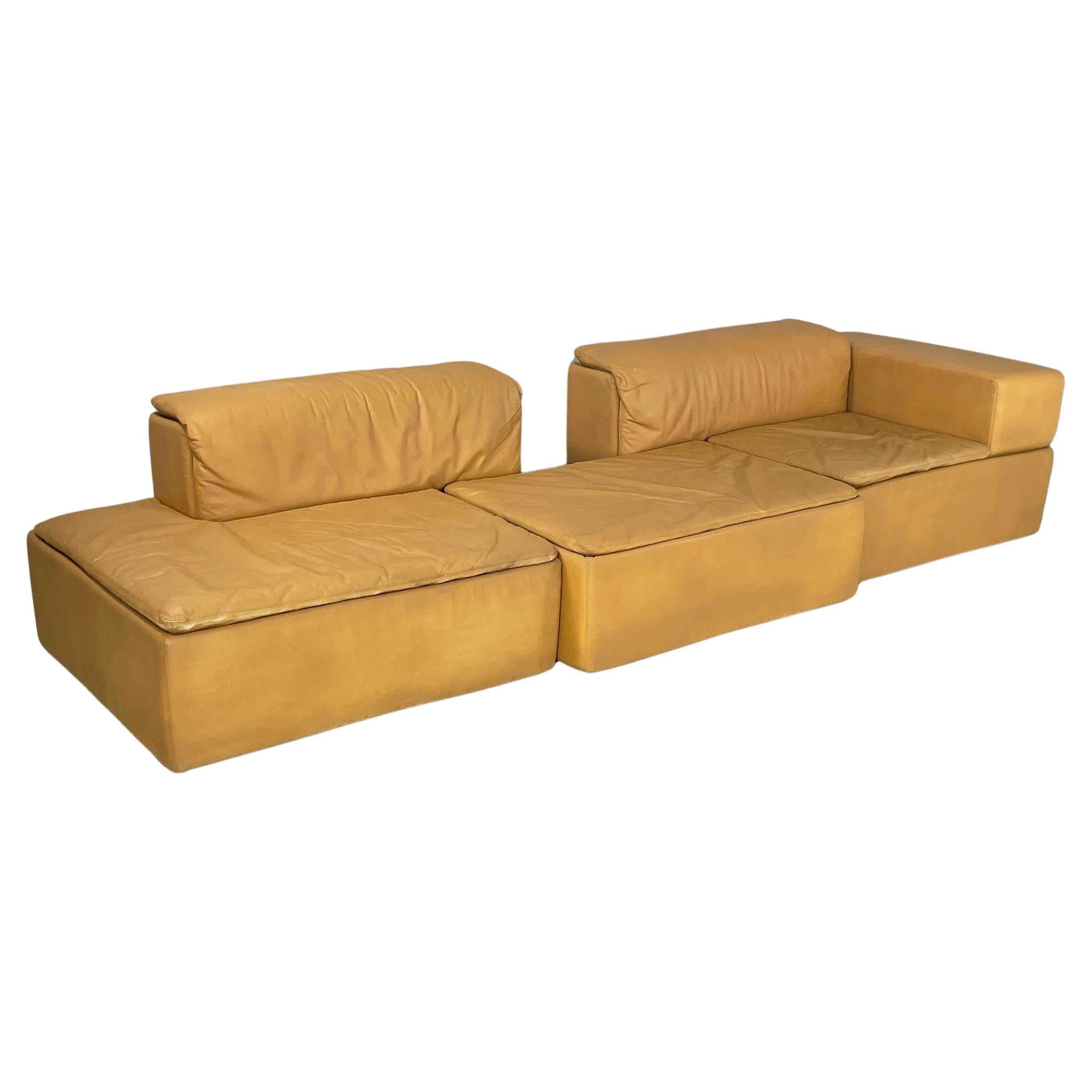 Italian modern Brown leather modular sofa Paione by Salocchi for Sormani, 1970s For Sale