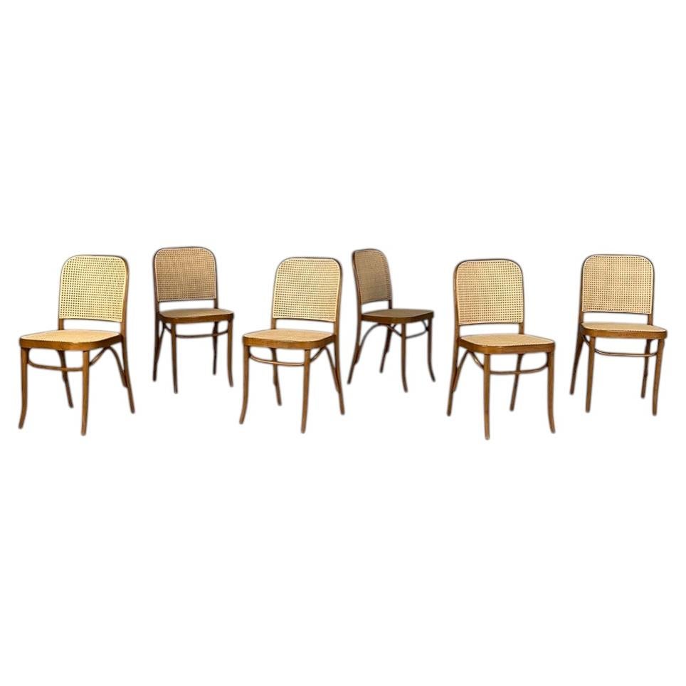Silla italiana moderna con estructura de madera de haya y paja de Viena, de los años 70