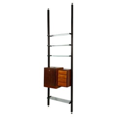 Italian Modern, Floor to Ceiling Bookcase, Stained Wood, Glass, Italy, 1940s