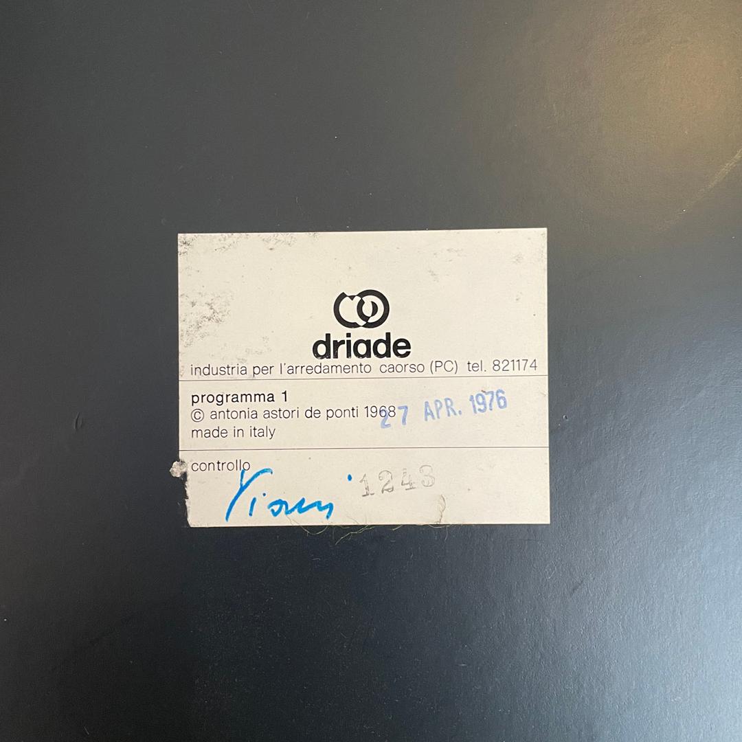 Bibliothèque modulaire italienne Programma 1 Antonia Astori De Ponti Driade 1970 en vente 13