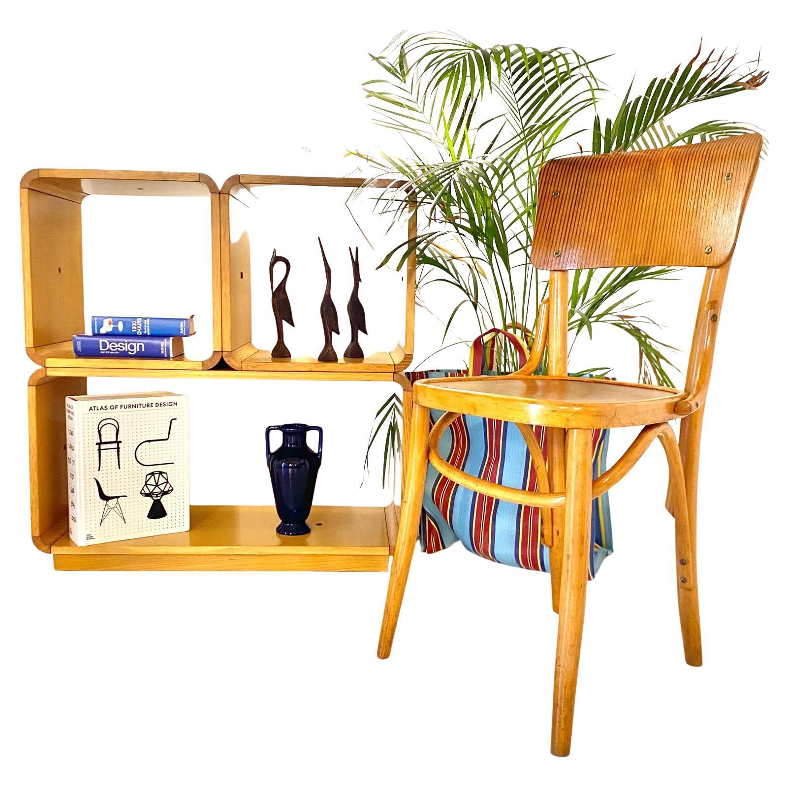 Italian Modern Modular Wood Bookcase, Carlo De Carli for FIARM, Italy 1970 's 4
