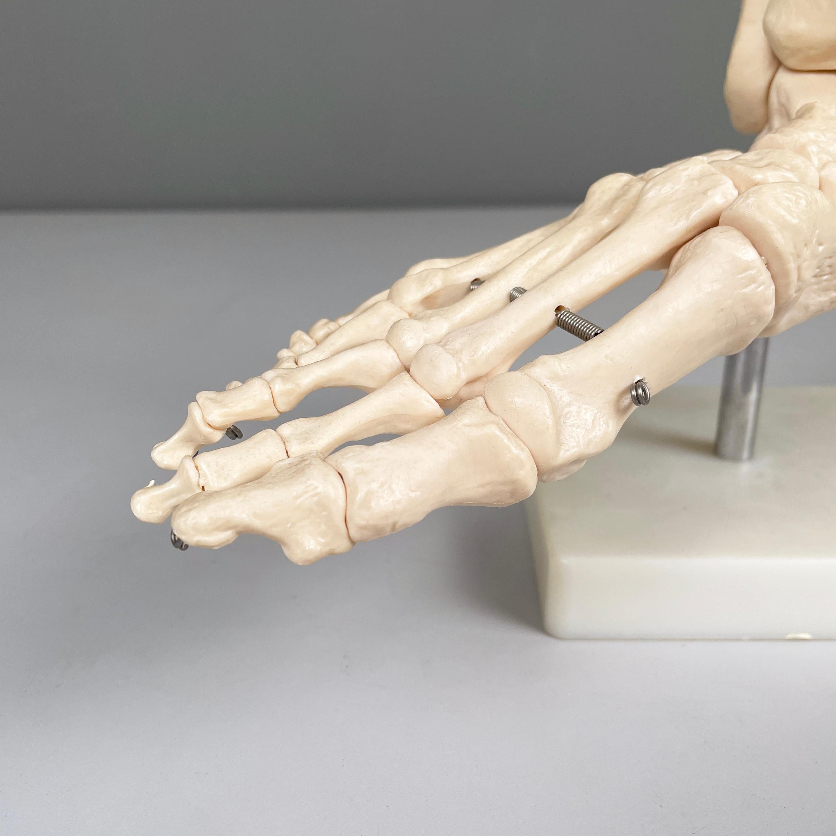Italienisches modernes wissenschaftliches anatomisches Modell der Fußknochen aus Kunststoff, 2000er Jahre (Metall) im Angebot