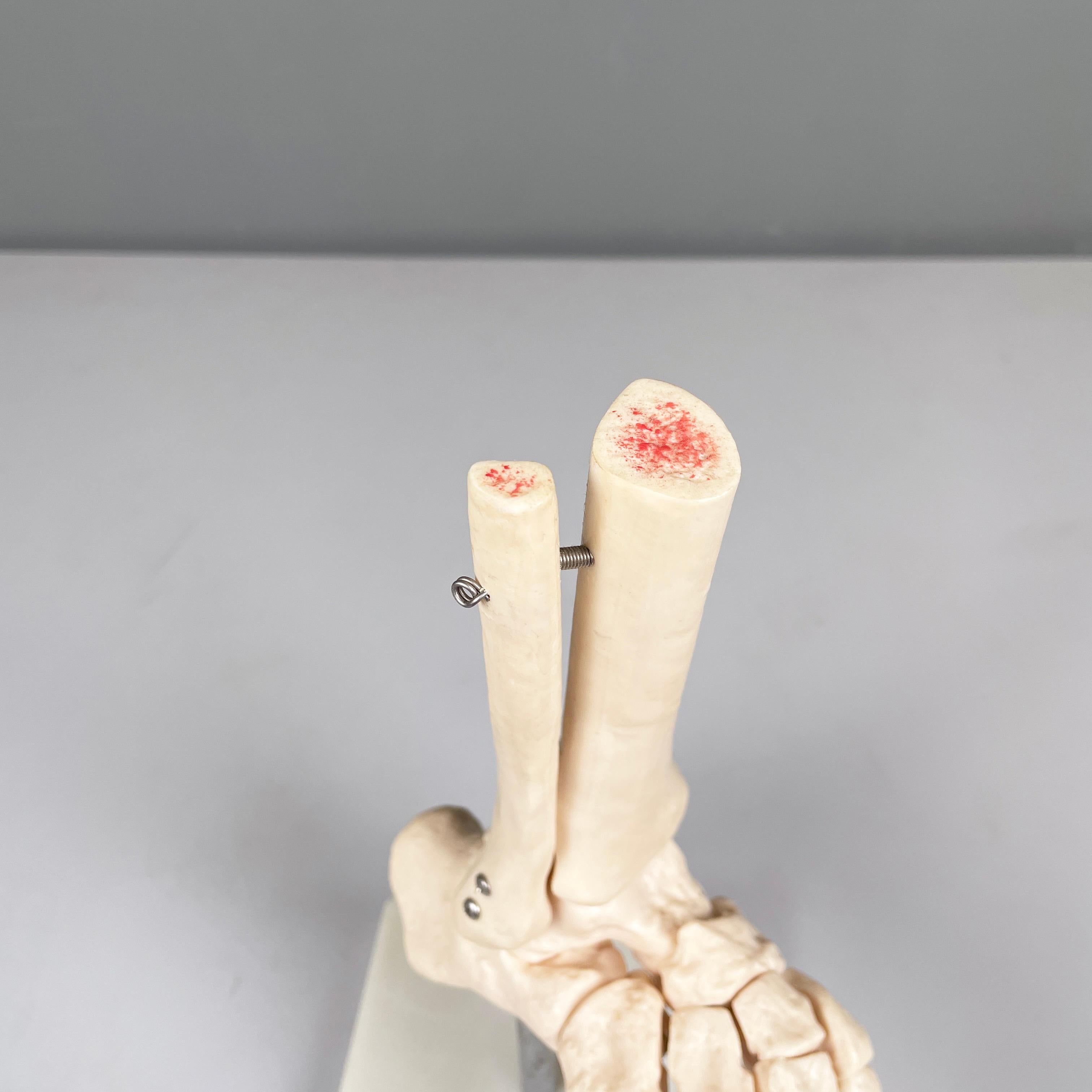 Italienisches modernes wissenschaftliches anatomisches Modell der Fußknochen aus Kunststoff, 2000er Jahre im Angebot 1