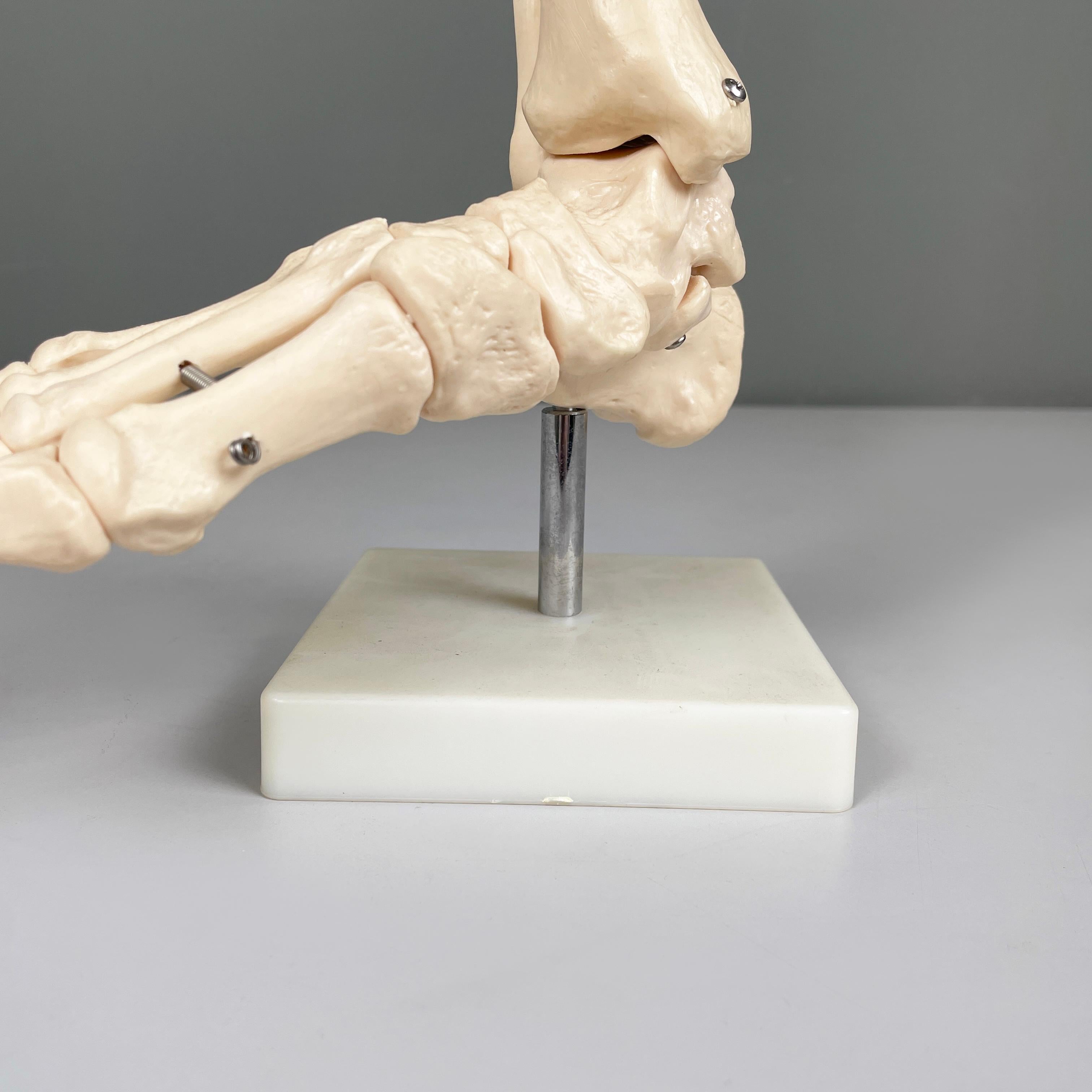Italienisches modernes wissenschaftliches anatomisches Modell der Fußknochen aus Kunststoff, 2000er Jahre im Angebot 2
