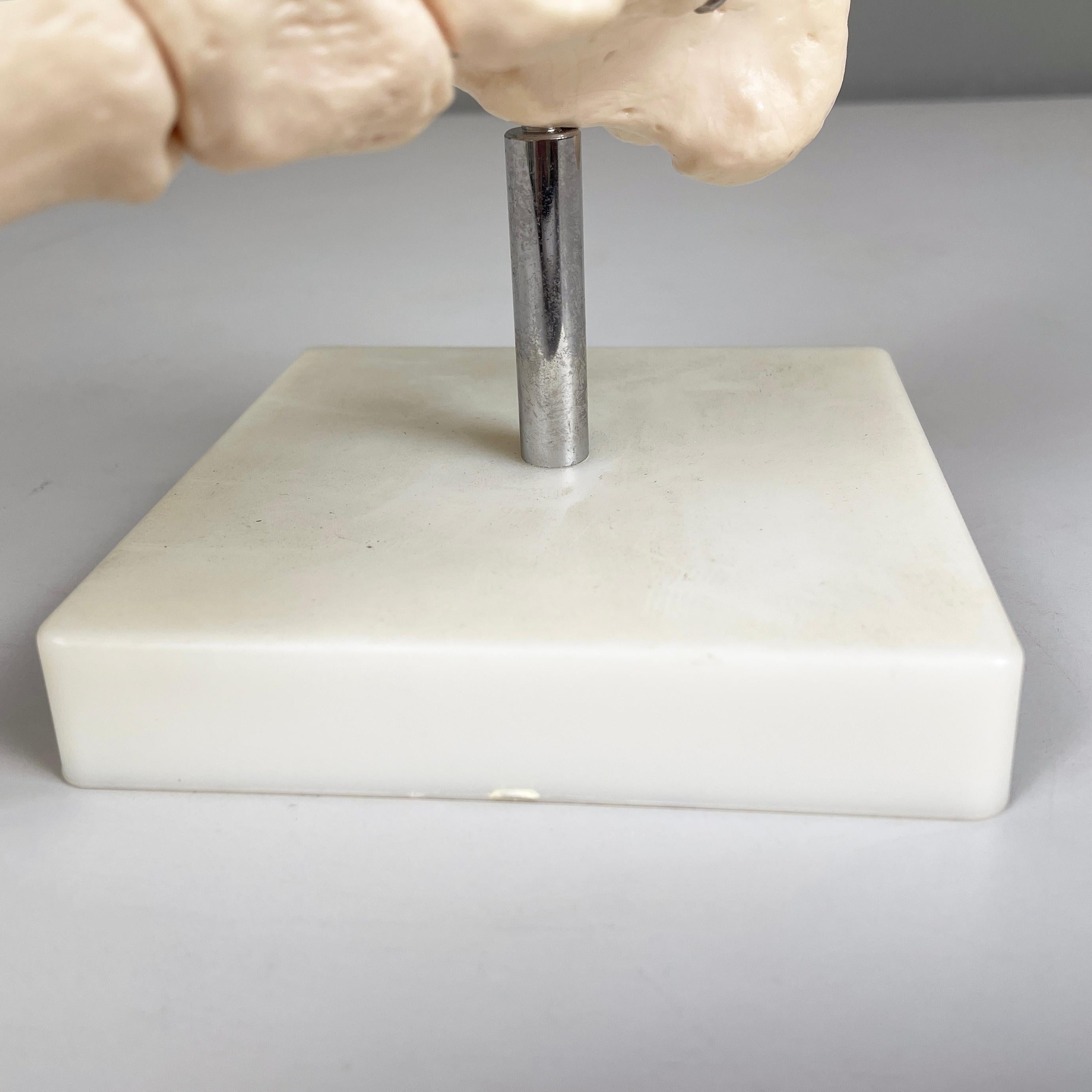 Italienisches modernes wissenschaftliches anatomisches Modell der Fußknochen aus Kunststoff, 2000er Jahre im Angebot 3
