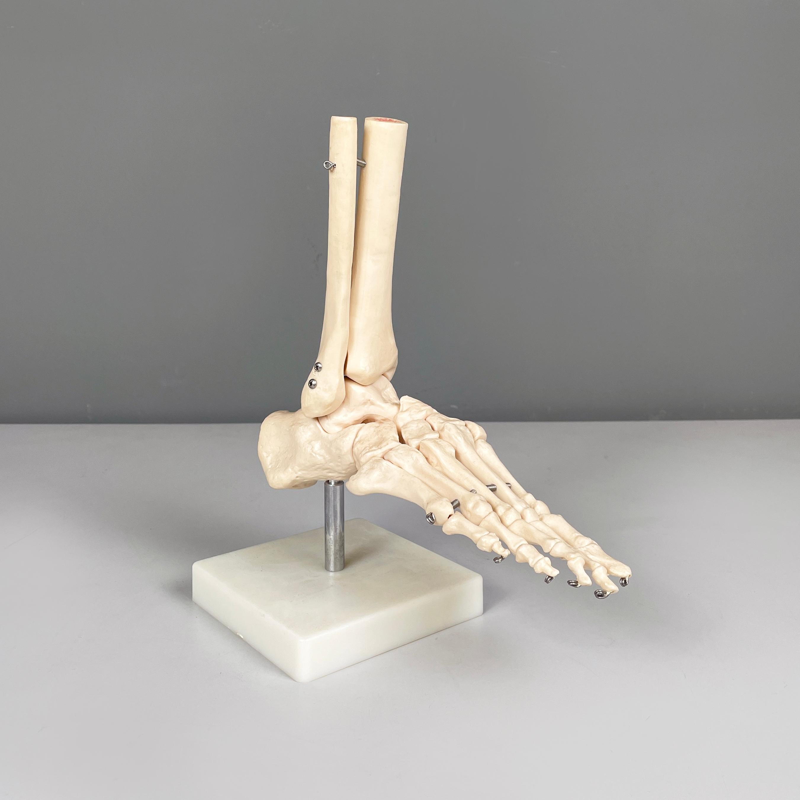 Italienisches modernes wissenschaftliches anatomisches Modell der Fußknochen aus Kunststoff, 2000er Jahre
Wissenschaftliches anatomisches Modell des Fußes und der Knöchel, aus weiß-beigem Kunststoff. Die verschiedenen Knochen sind durch kleine