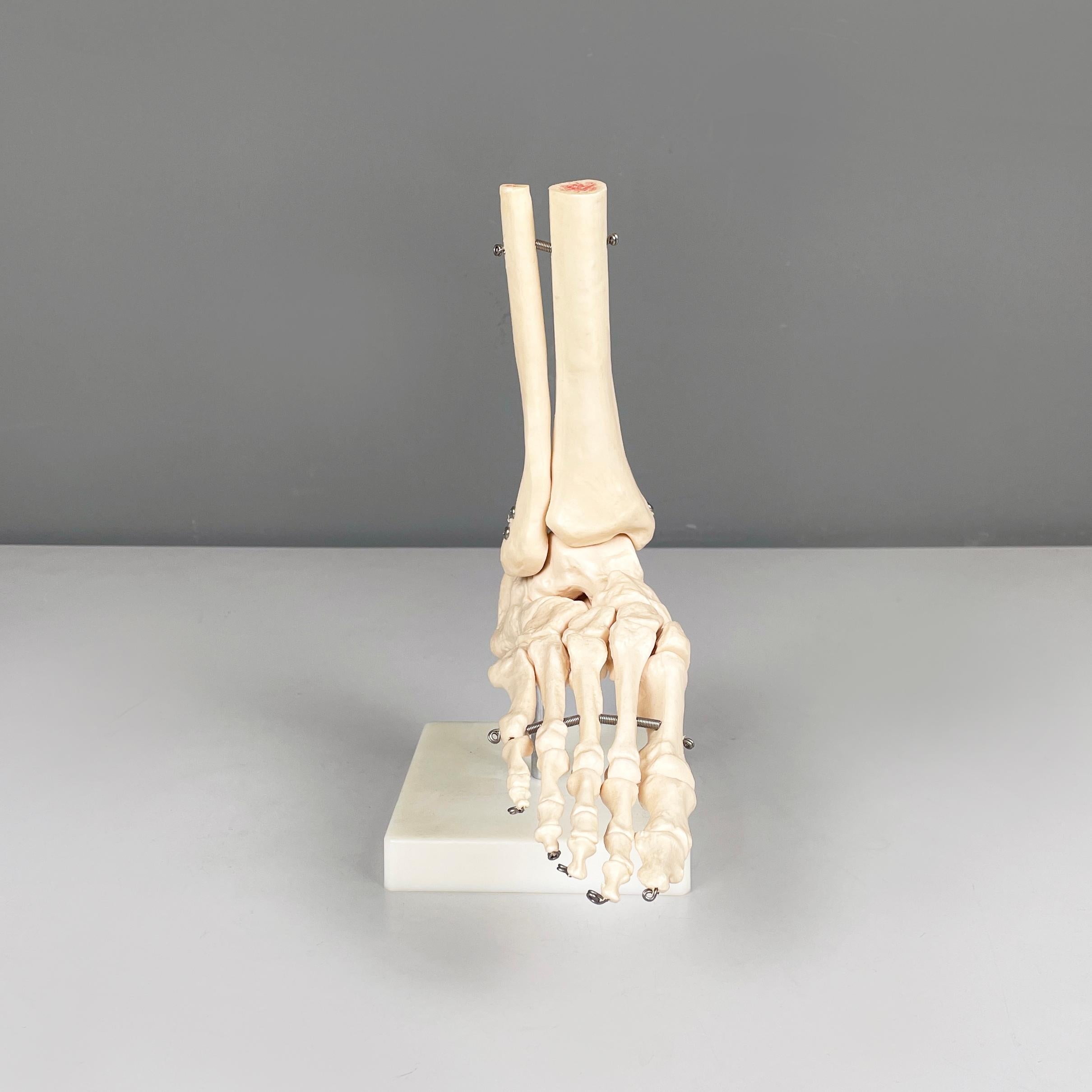 Modern Italian modern Scientific anatomical model of the foot bones in plastic, 2000s For Sale