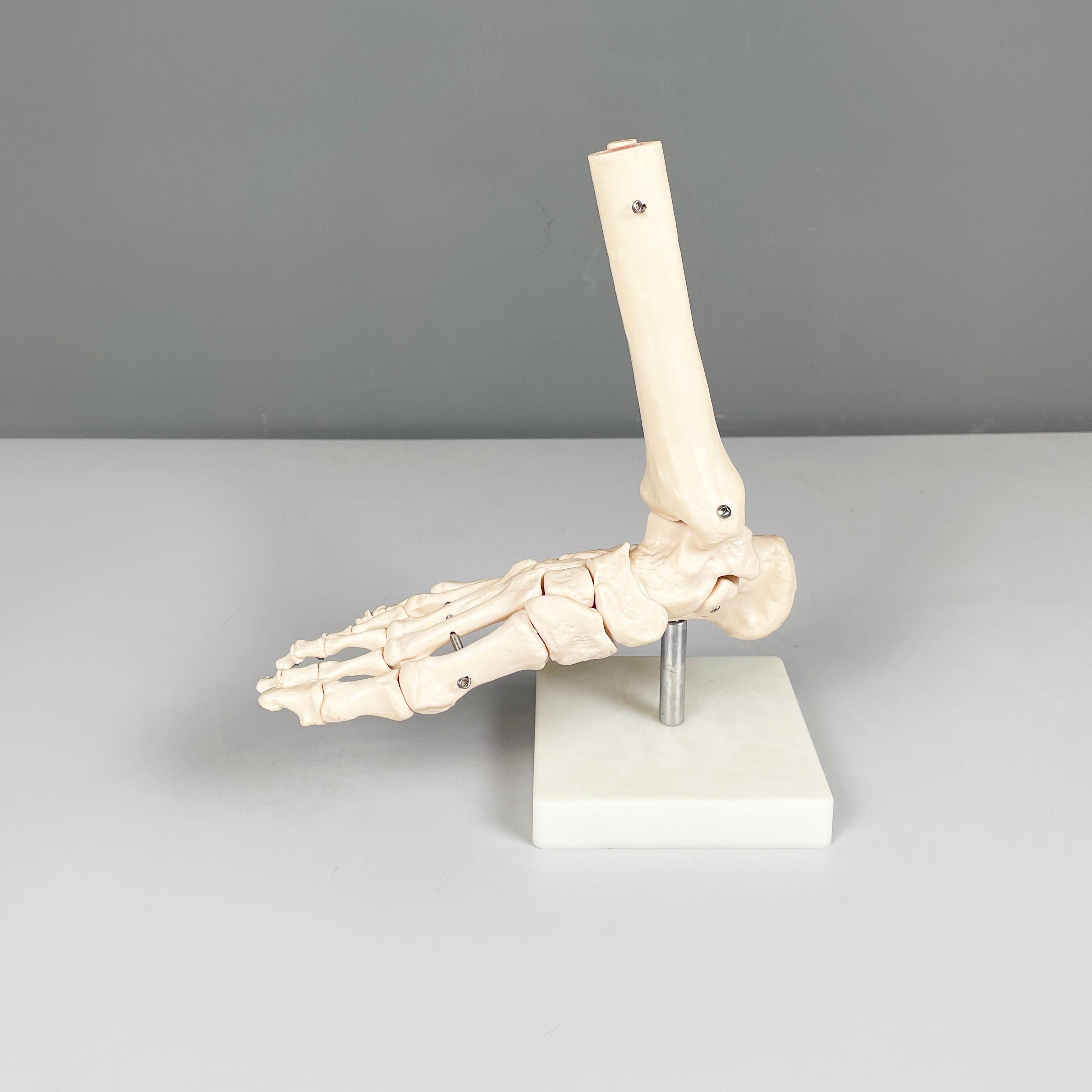 Italian modern Scientific anatomical model of the foot bones in plastic, 2000s In Good Condition For Sale In MIlano, IT