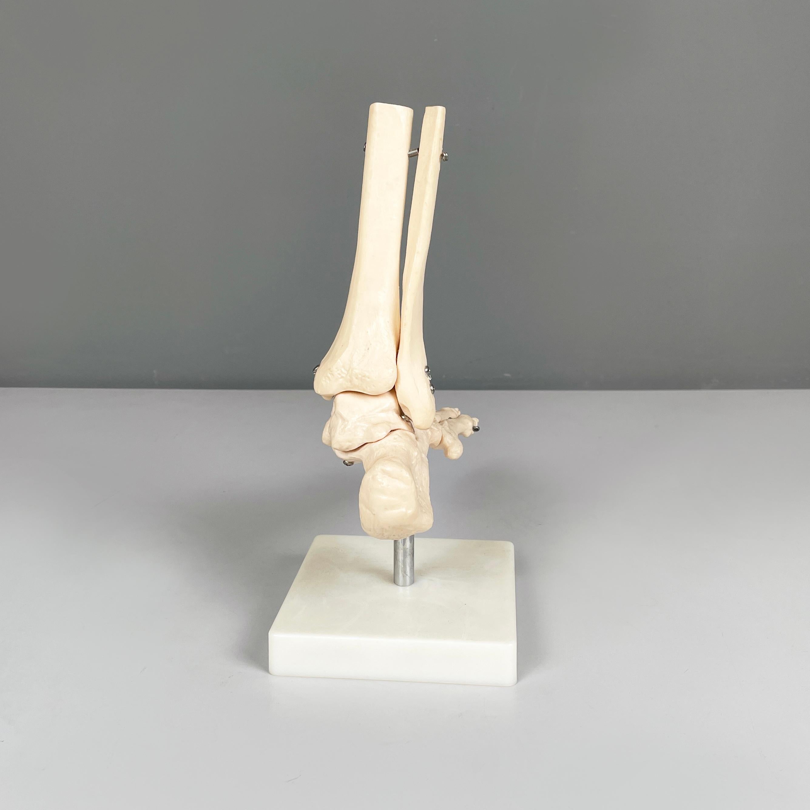 Contemporary Italian modern Scientific anatomical model of the foot bones in plastic, 2000s For Sale