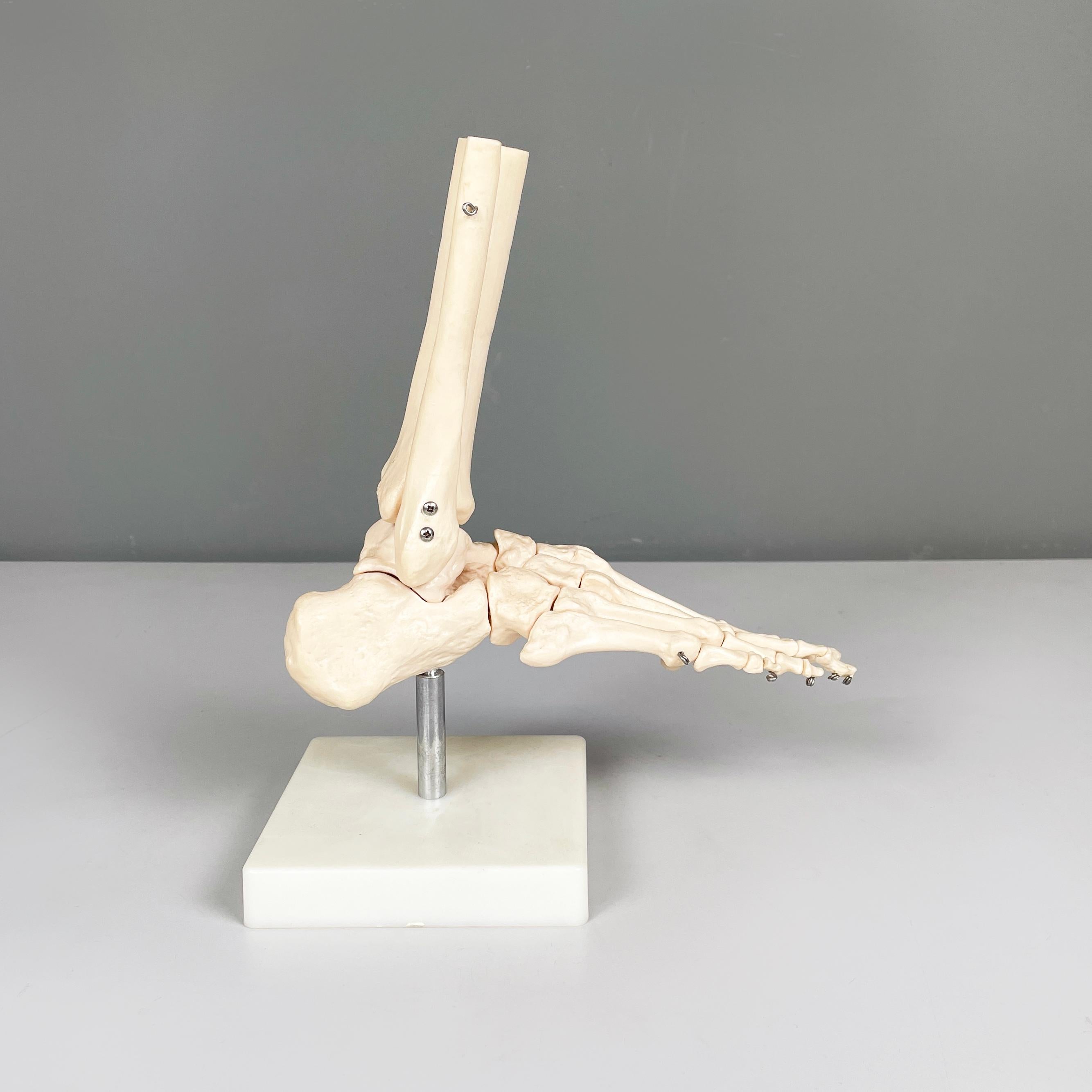 Metal Italian modern Scientific anatomical model of the foot bones in plastic, 2000s For Sale