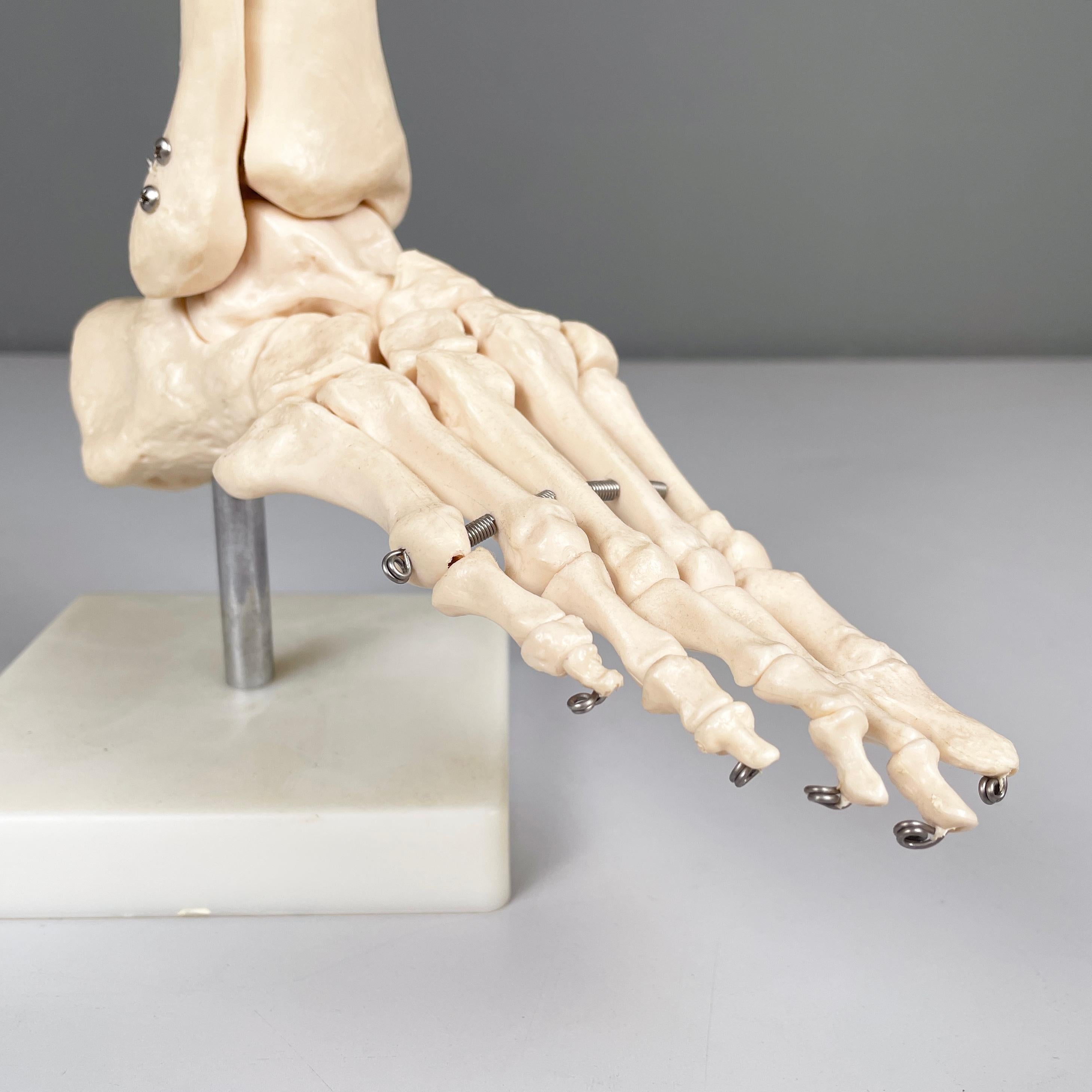 Italienisches modernes wissenschaftliches anatomisches Modell der Fußknochen aus Kunststoff, 2000er Jahre im Zustand „Gut“ im Angebot in MIlano, IT