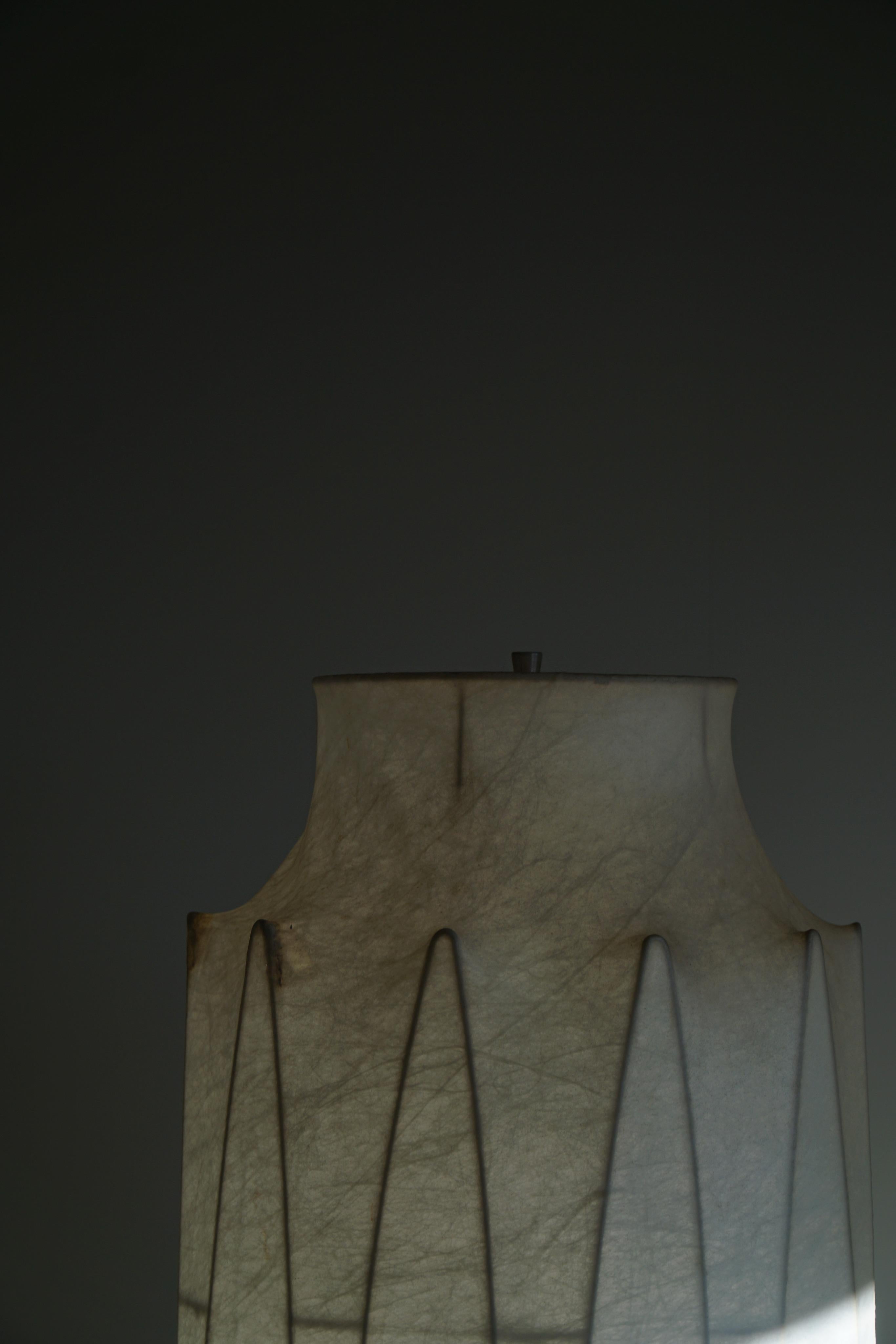 Italian Modern Sculptural Cocoon Floor Lamp, Tobia Scarpa, 1960s 2