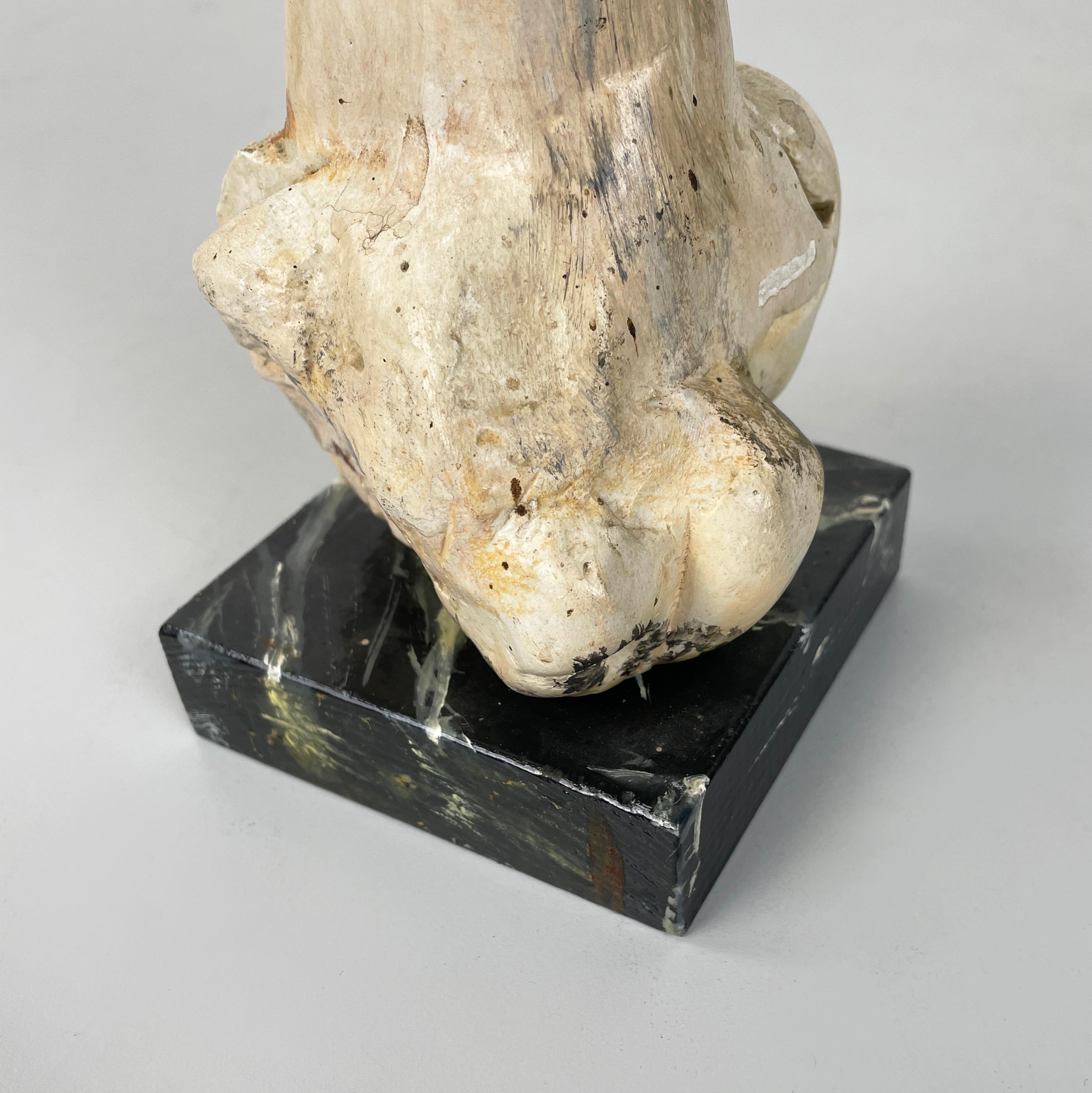 Italian modern Wooden sculpture of a bone by N.F. Puccio, 1990s For Sale 5