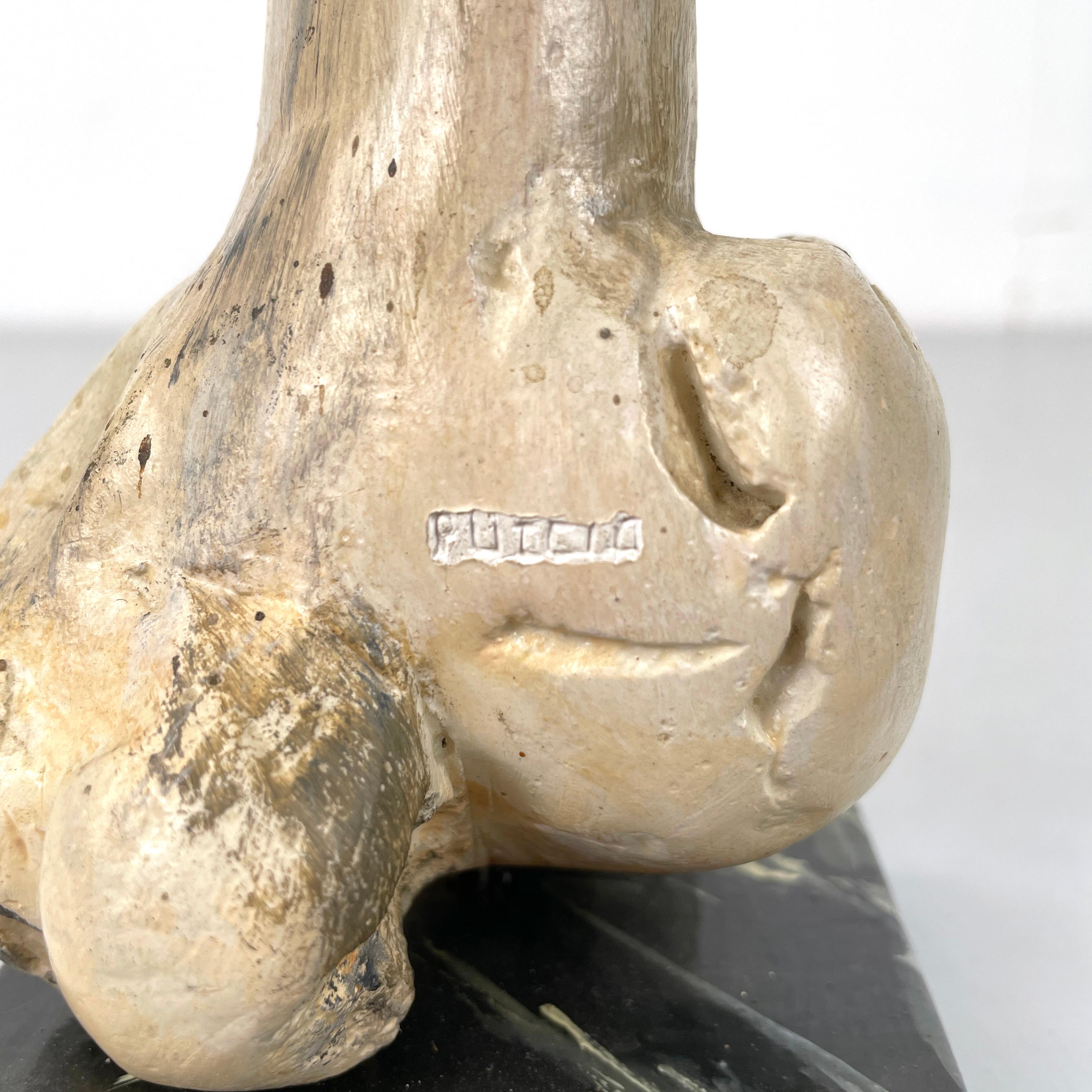 Italian modern Wooden sculpture of a bone by N.F. Puccio, 1990s For Sale 8
