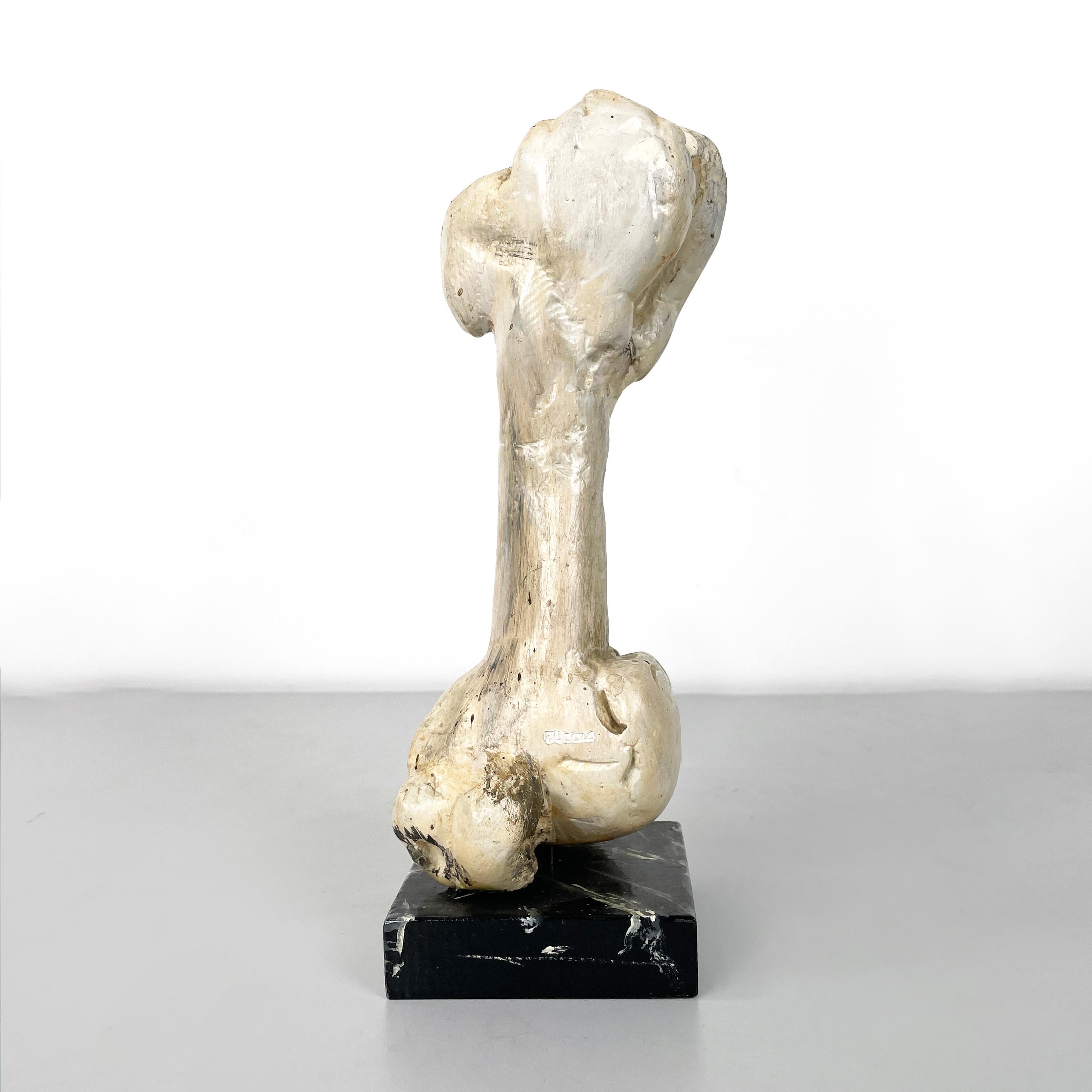 Modern Italian modern Wooden sculpture of a bone by N.F. Puccio, 1990s For Sale