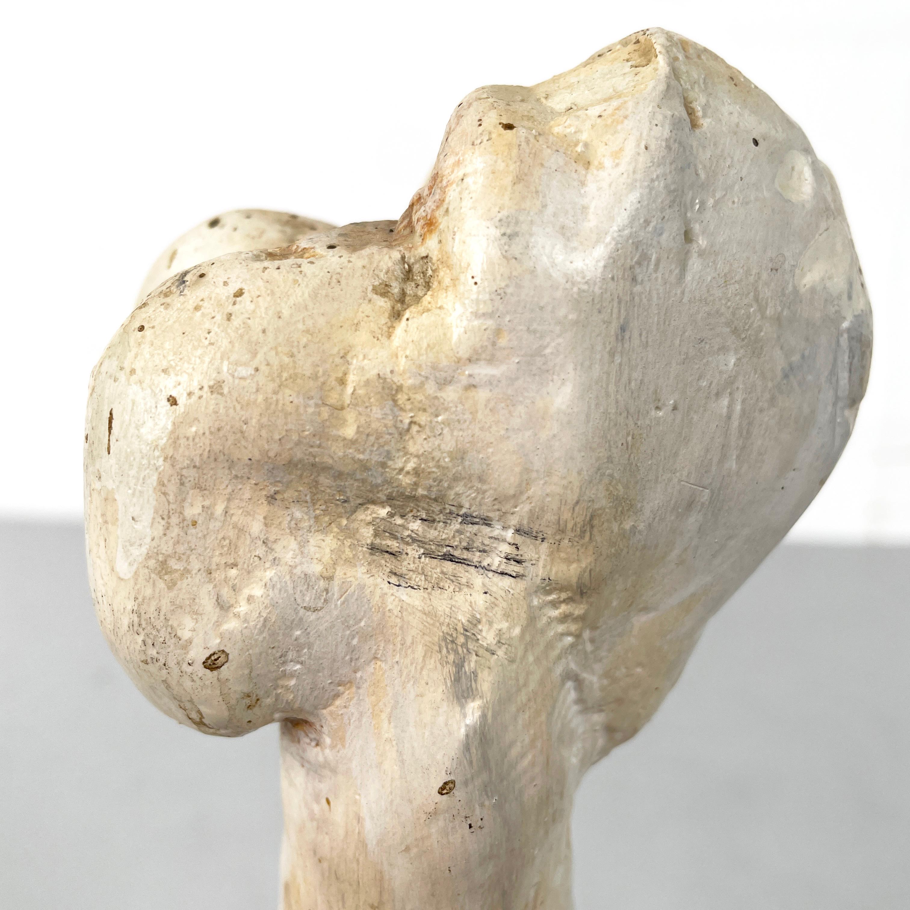 Italian modern Wooden sculpture of a bone by N.F. Puccio, 1990s For Sale 2