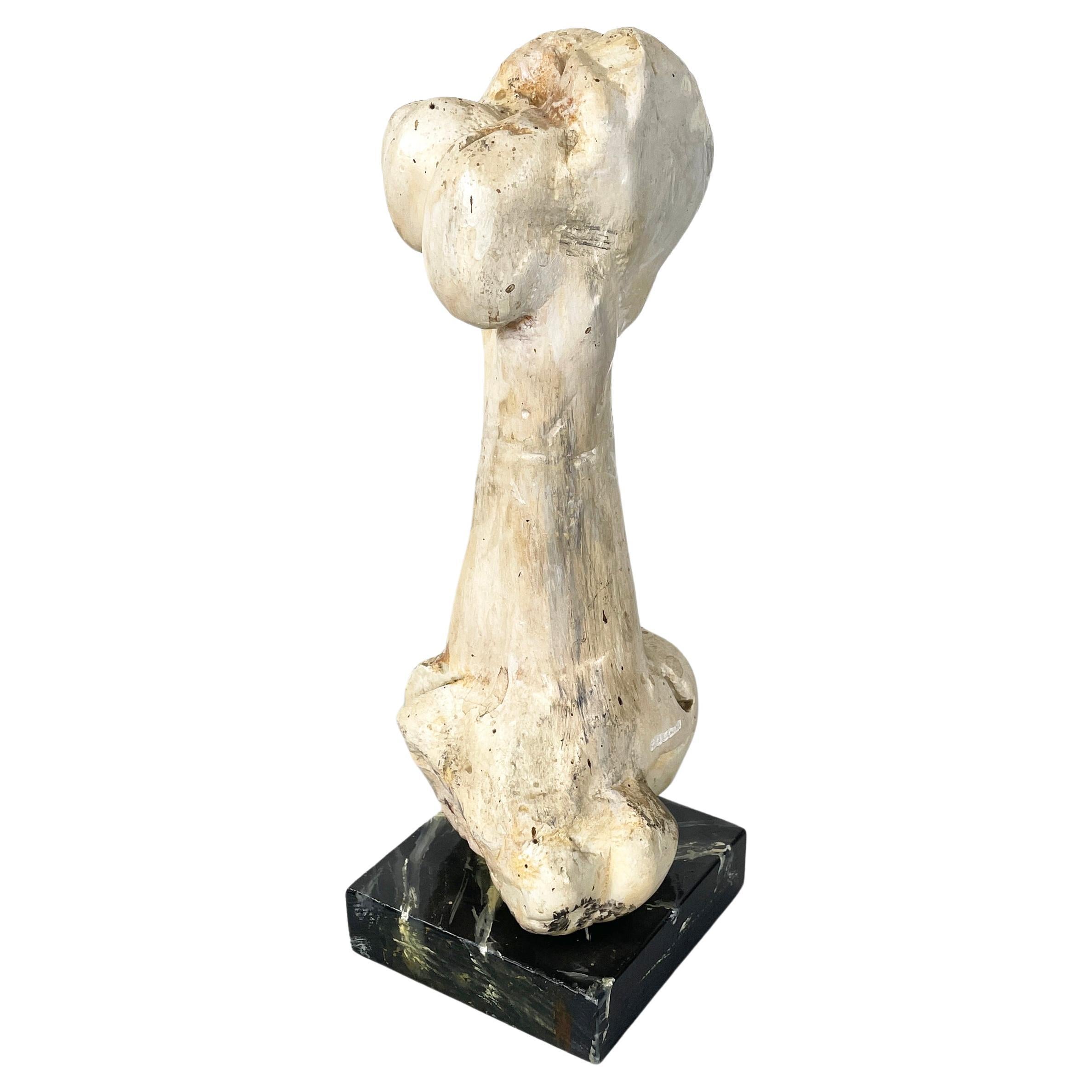 Escultura moderna italiana de madera de un hueso por N.F. Puccio, años 90 en venta