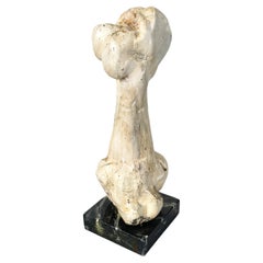 Vintage Italian modern Wooden sculpture of a bone by N.F. Puccio, 1990s