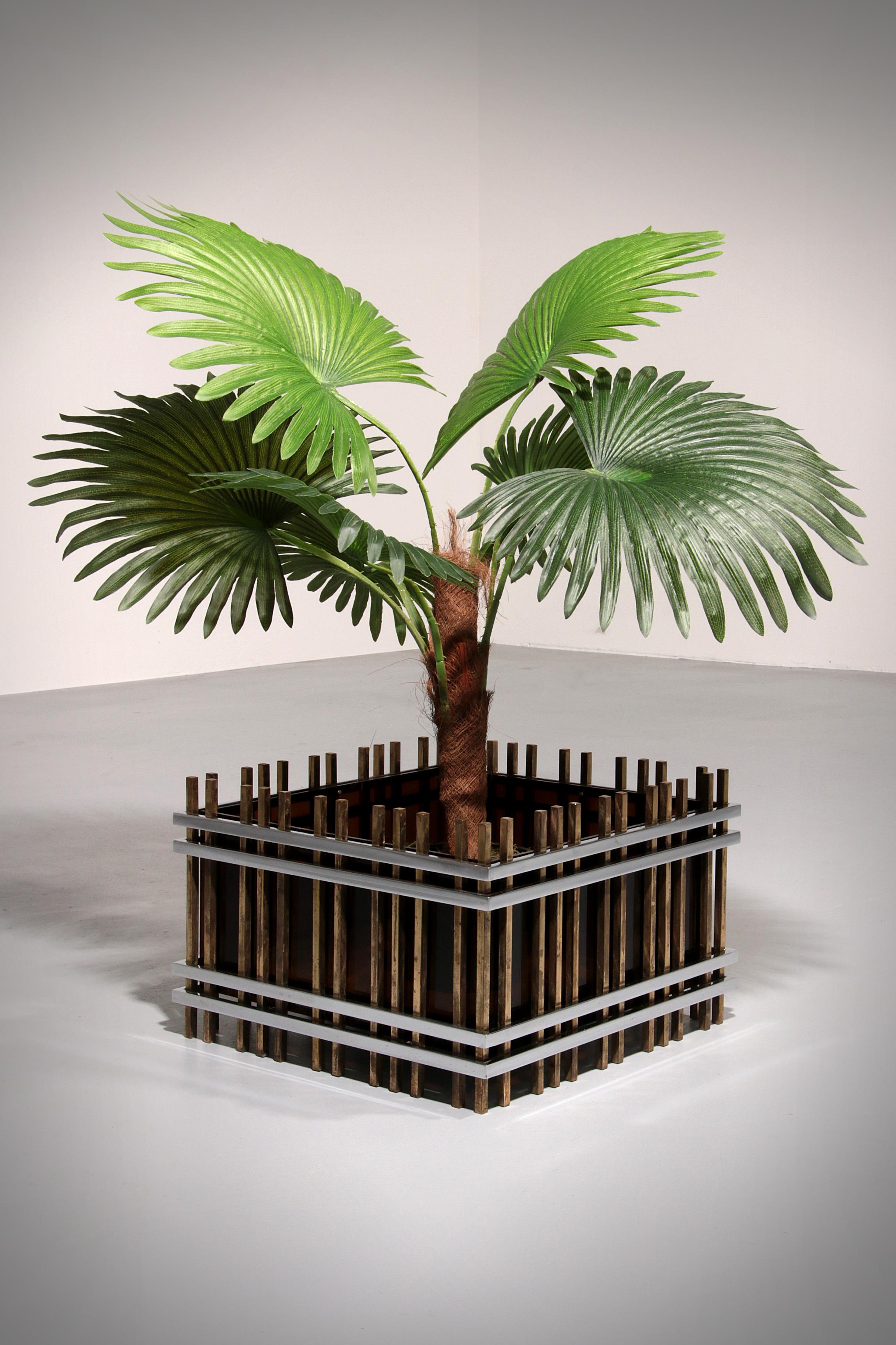 Dieser seltene italienische 