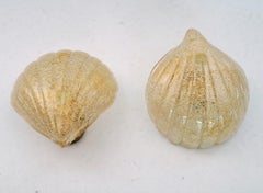 Italian Murano Glass Shell and Brass Wall Sconces or Wall Lights, 1970s